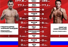 Инфографика. FIGHT NIGHTS GLOBAL 61. 11 марта, Брянск. March 11, Bryansk.