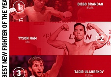 FIGHT NIGHTS GLOBAL - Открытие 2017 года!